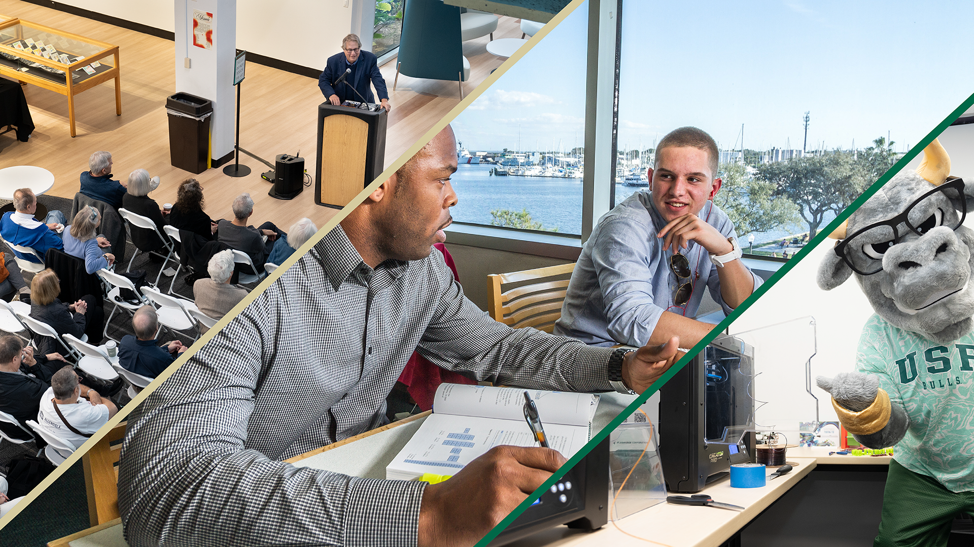 USF St. Petersburg Library Graphic