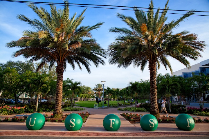 Decorative cement barrier painted USFSP in front of two palm trees.