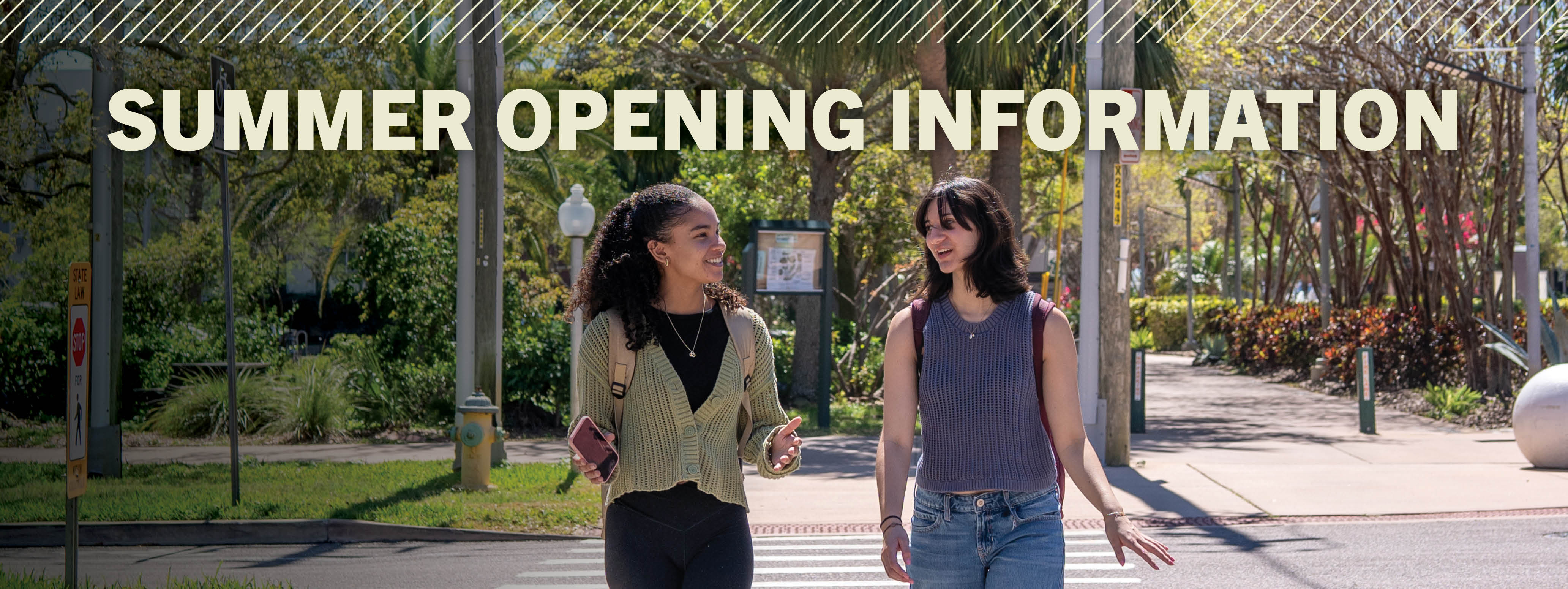 Summer Opening information