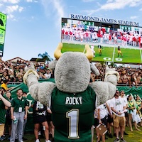 Rocky igniting the crowd at USF football.