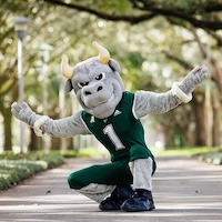 Rocky the Bull