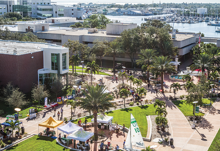 USF preparing for a full return to inperson courses and oncampus