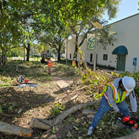 USF St. Petersburg campus clean up after Hurricane Milton