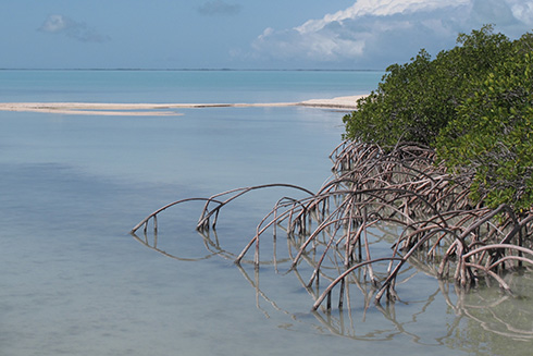 South Florida’s estuaries, including Florida Bay, pictured here. Credit: National Park Service