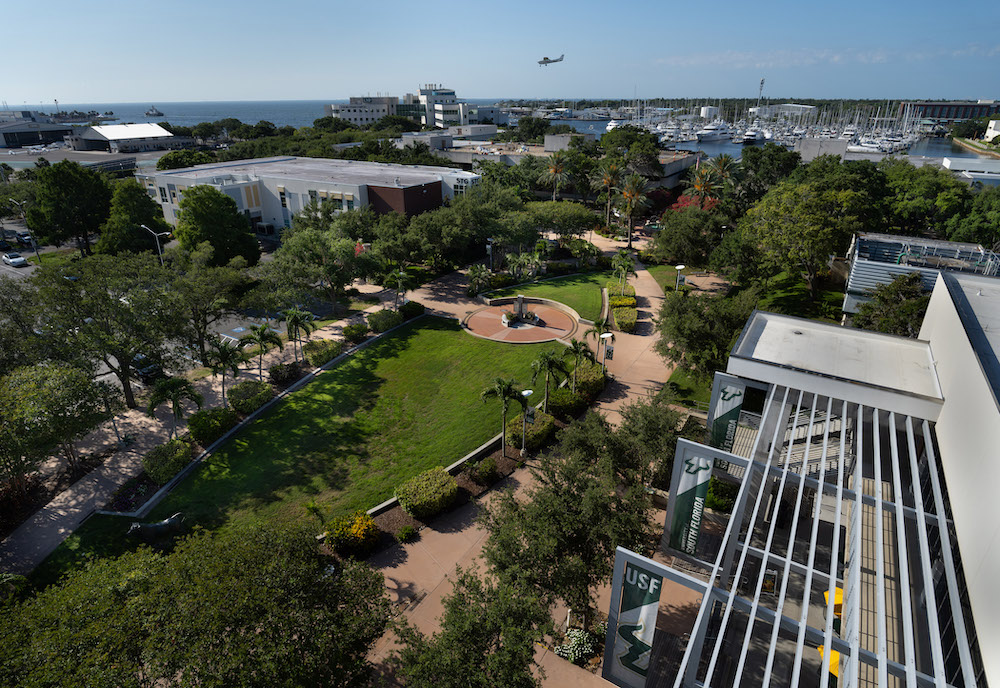 Aerial view of Harborwalk on USF St. Pete campus.