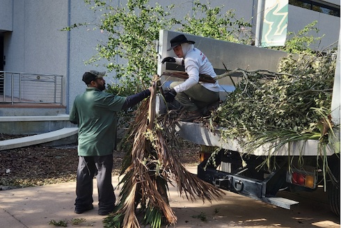 Cleanup efforts after Hurricane Milton on campus.