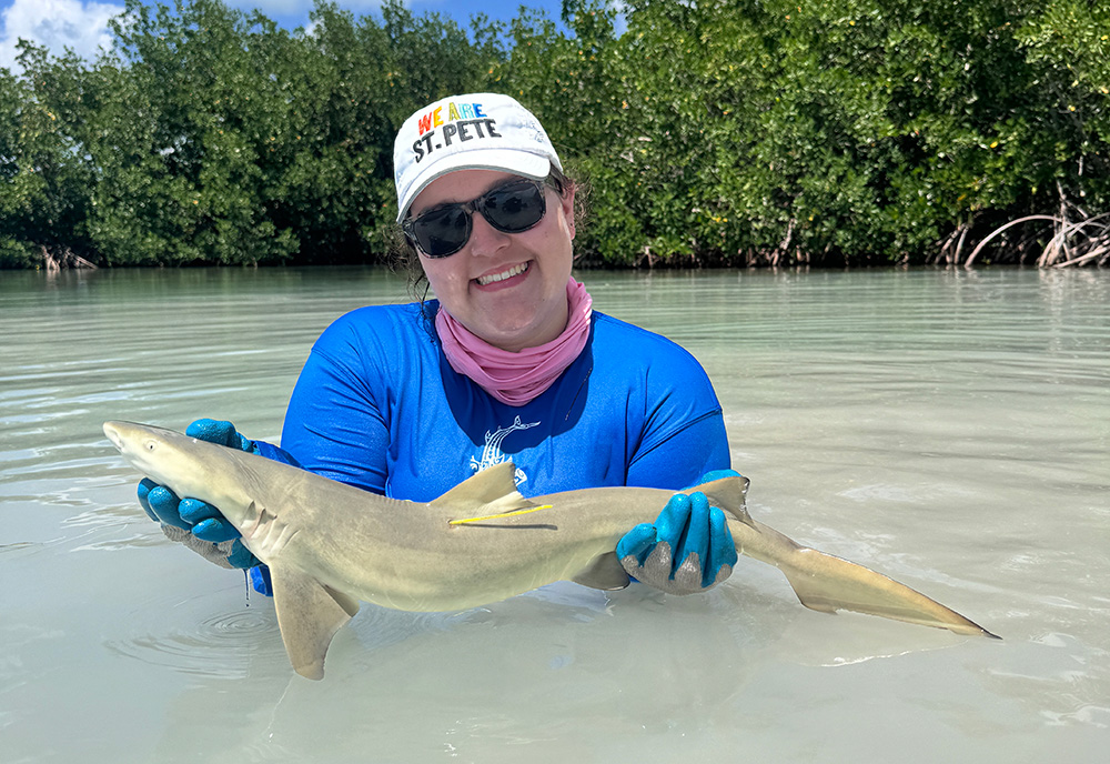 Reni Poston-Hymel holding a lemon shark. The research was conducted under ESA permit 22078 and ENP Permit SCI 0007.