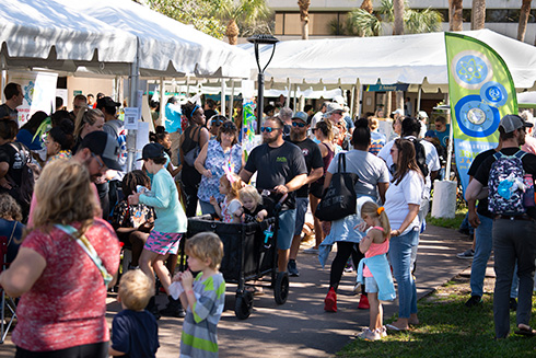 Around 13,000 people attended the Science Festival in 2024