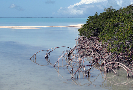 Florida Bay. Credit: National Park Service