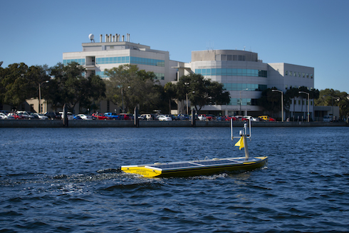 USF College of Marine Science will be part of a new accelerator program designed to promote the commercialization of blue-tech solutions.